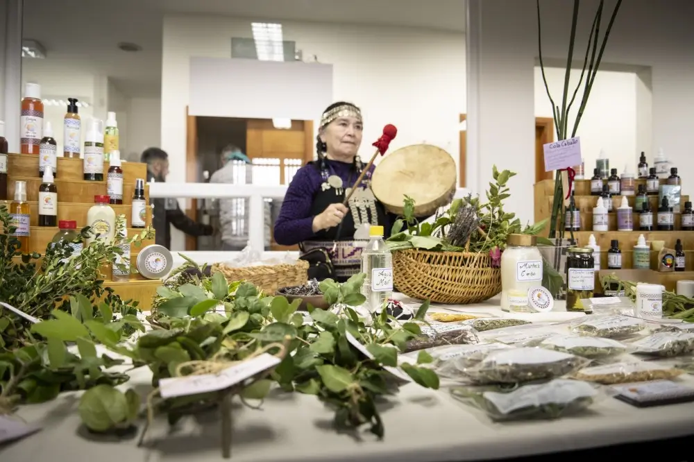 oecd.label.humanities