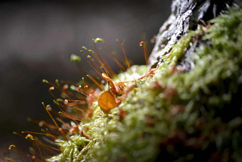 oecd.label.natural-sciences